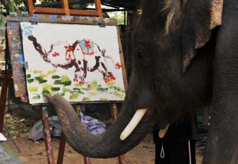 Students compete in Cincinnati Zoo’s art contest
