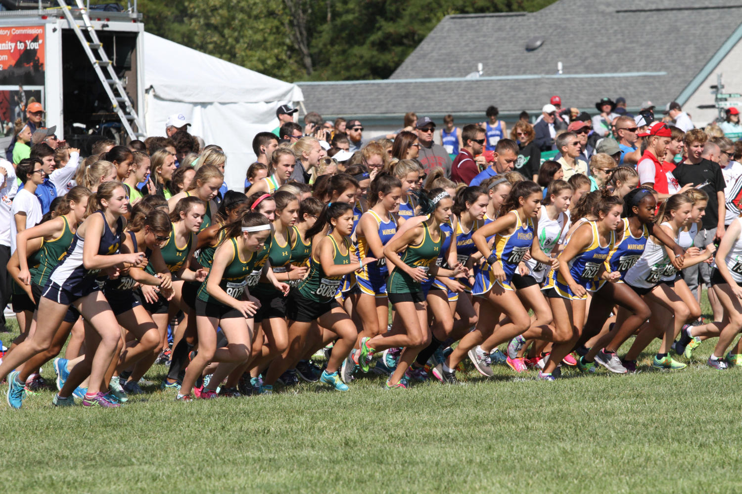 Cross country runs into Mason Invitational