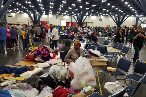 Help victims of Harvey!