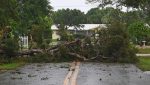 TOO MUCH. Hurricane Irma leaves behind devastation. It has already heavily damaged some Caribbean islands, devastating Barbuda and tearing through Anguilla.  Barbuda is “uninhabitable” and in a “total blackout” with almost all of its infrastructure destroyed, according to Michael Joseph, president of the Red Cross in Antigua and Barbuda.
