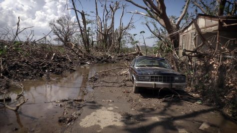 STORM. “Hurricane Maria whipped Puerto Rico with Irma-level winds, drenched the island with Harvey-level flooding, crippled communications, decimated buildings and damaged a dam that puts downstream residents at risk of catastrophe,” said Chandrika Narayan, CNN reporter.