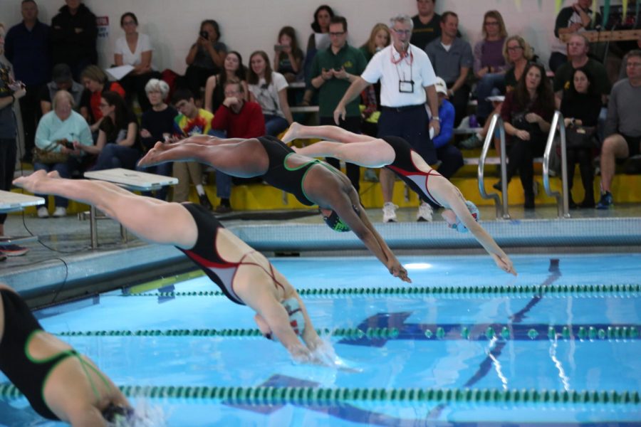 GO AVES. Senior Sarah Abraham dives into the pool alongside her opponents. The swim team bid farewell to the class of 2018 at Senior Night on Mon., Jan, 22. “It was a great way to wrap up my swimming career and relive memories I’ve made over the last four years,” said Anita Pan, 12.