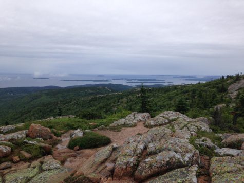 National park advisory board resigns in protest