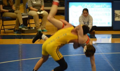 Wrestlers place at sectionals