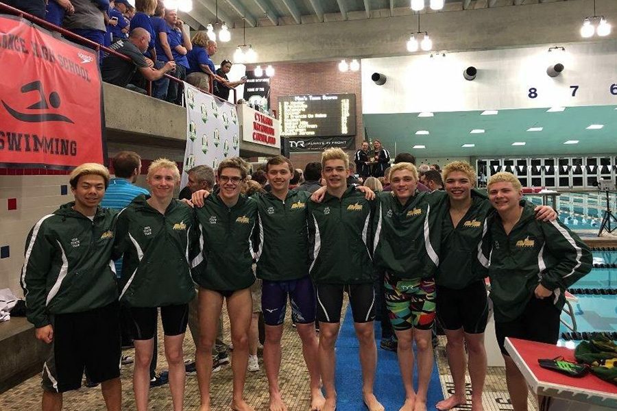 STATE+CELEBRATION.+Spirits+soar+when+in+the+company+of+your+teammates.+At+the+2018+OHSAA+swim+meet%2C+the+SHS+boys+team+swam+spectacular+races.+They+placed+third+in+the+entire+state+of+Ohio%2C+a+new+high+since+1992.
