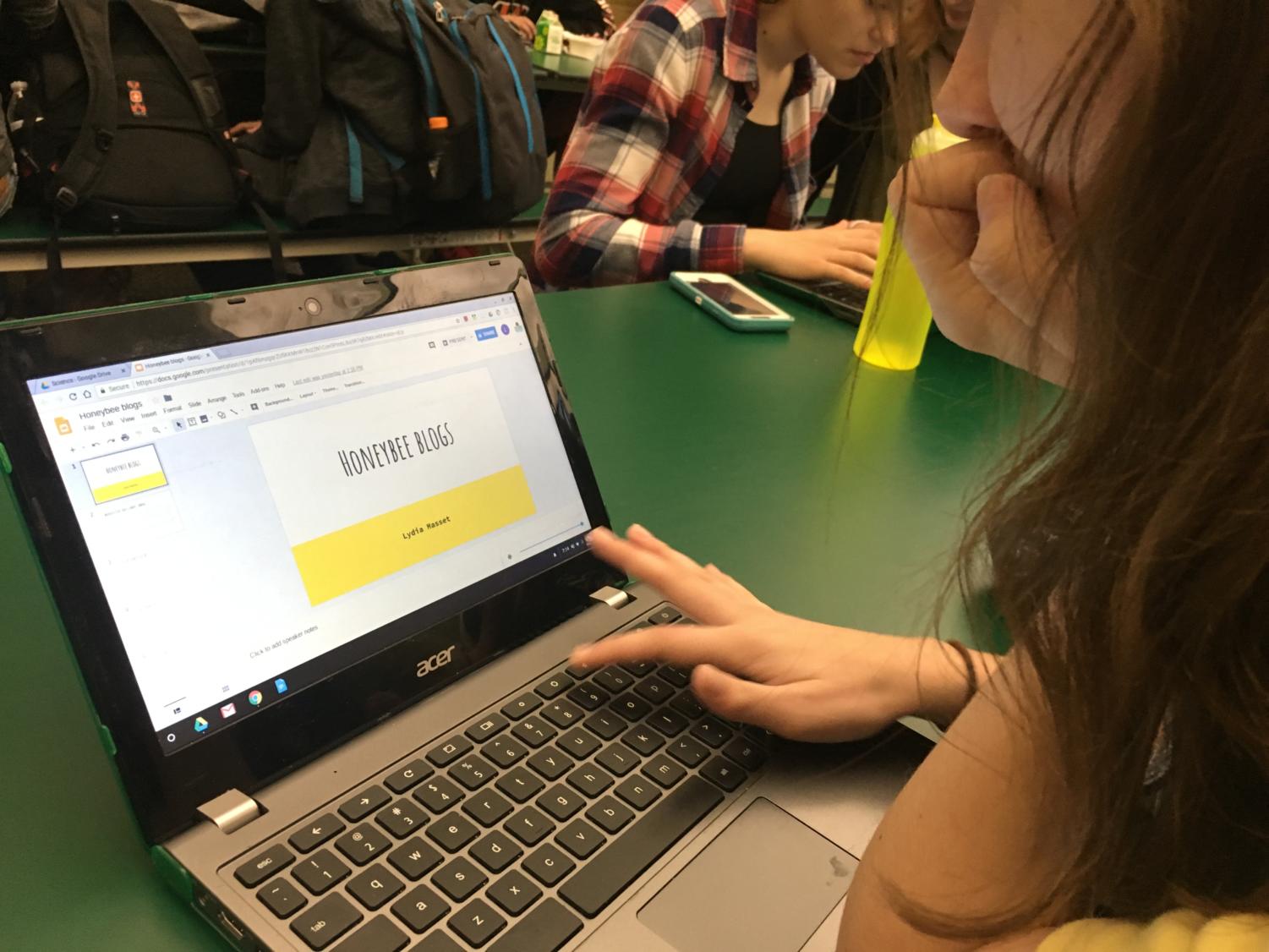 REVISE. Advanced biology student Caitlin Schipper, 10 looks over a fellow students project. The project is about the possible extinction of bees including risks and available solutions. Students will use their final research in any format they choose which could include but is not limited to a video, board game, slide show, speech, or graphic.