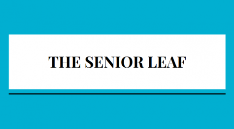 Senior superlatives, destinations, wills, more!
