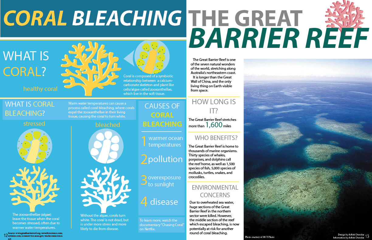 Coral Bleaching – The Leaf
