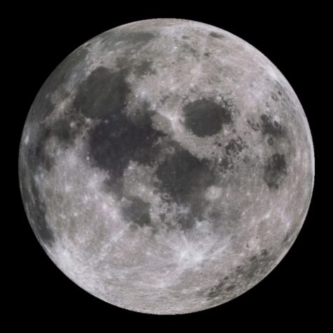 Spacex invites first passenger to moon