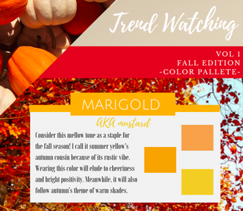 Fall color pallette