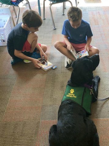 Dogs bark up Maple Dale