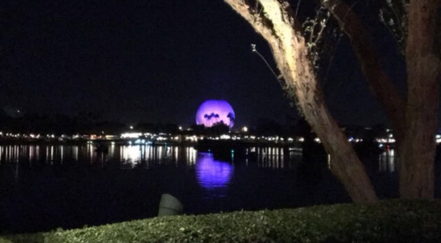 EPCOT. Two years ago the orchestra and marching band took a trip to Disney World. Unlike this year, the group went to Hollywood Studios instead of Animal Kingdom. “As a sophomore, I have not gone on this trip with the orchestra yet. I am excited to go, but I am dreading the long drive,” said Etienne Mueller, 10. 