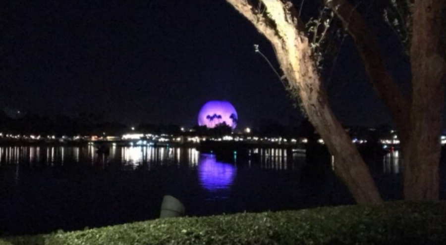 EPCOT. Two years ago the orchestra and marching band took a trip to Disney World. Unlike this year, the group went to Hollywood Studios instead of Animal Kingdom. “As a sophomore, I have not gone on this trip with the orchestra yet. I am excited to go, but I am dreading the long drive,” said Etienne Mueller, 10.