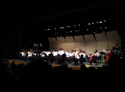 Orchestras shine at winter concert