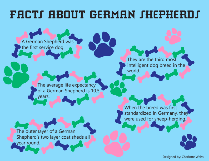 German Shepherds facts