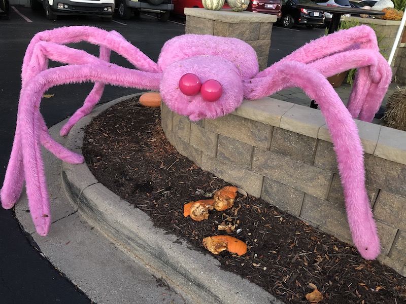 Local business thinks pink for October