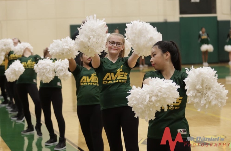 Flyerettes reflect on season