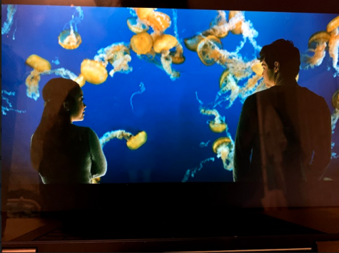 Netflix Sequel Lacks Luster
