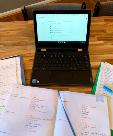 Teachers discuss their thoughts on remote learning