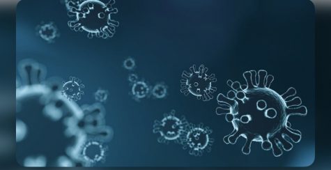 How to forget about Coronavirus