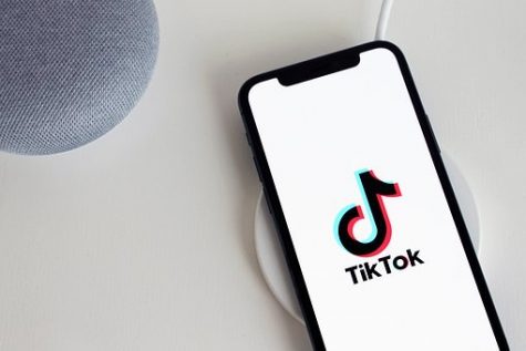 Although we have to do online school for the rest of the school year, there are some upsides to having time to yourself or even free time at all. All grades are affected by the shelter in place order, but some more than others. Try to make the most of your time and not spend hours on end on TikTok. Read ahead for a sophomore’s perspective on COVID-19. Stay safe!