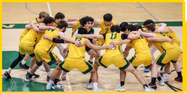 Boys' Volleyball Team huddling in the middle of a game