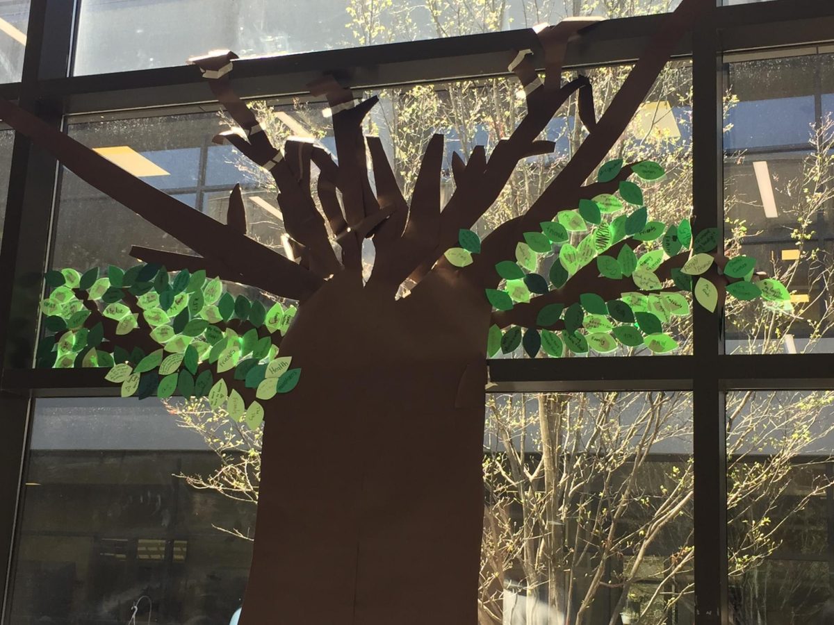 SOWING APPRECIATION. A small group of SHS students led an initiative to show SHS gratiude. SHS students wrote down what they were grateful for on leaves that were added to the tree on the wall of the Commons, dubbed the 'gratitude tree.' 